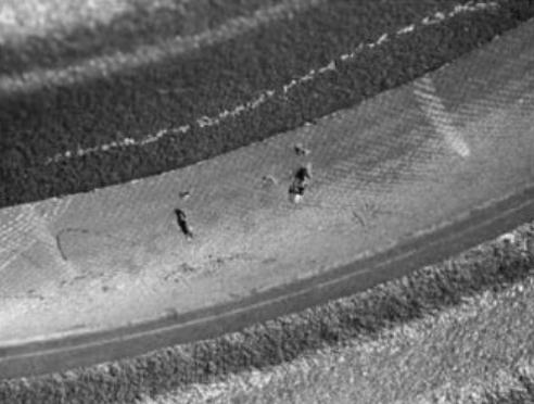 An bhfuil caighdeán foriomlán na gcasta ag dul in olcas? Nochtadh an plean freagartha do na trí mhór -lochtanna marfacha 'go hiomlán! ​